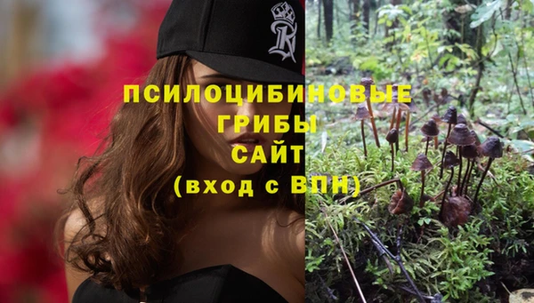 apvp Балахна
