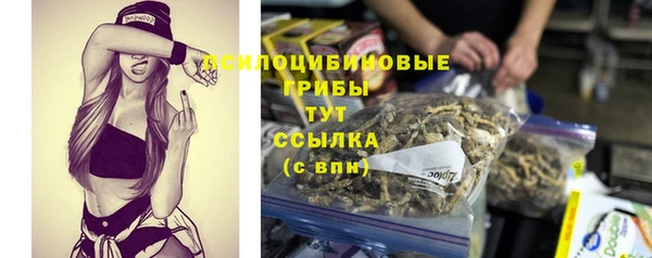 сатива Балабаново