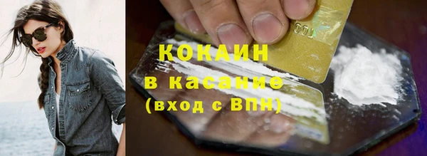 прущие грибы Баксан