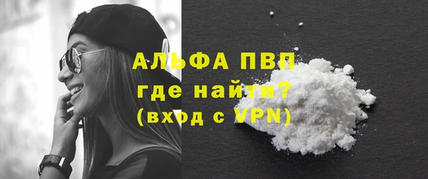 прущие грибы Баксан