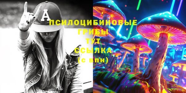 apvp Балахна