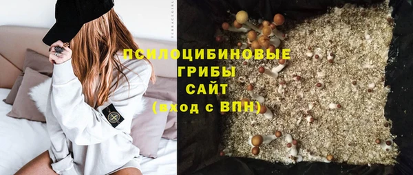 сатива Балабаново