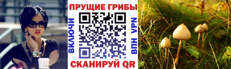 Галлюциногенные грибы MAGIC MUSHROOMS  Купить закладки  Бикин 